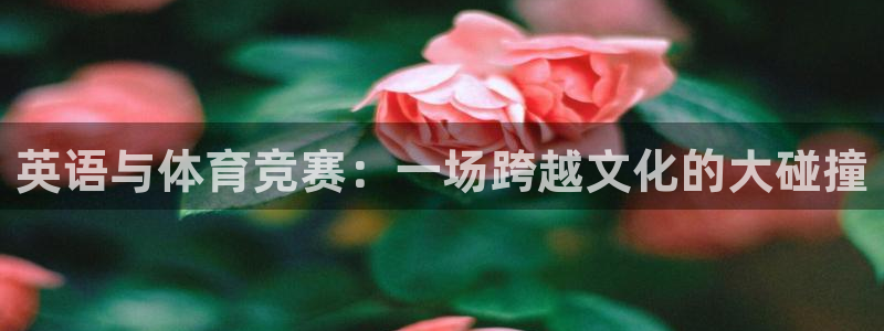英语与体育竞赛：一场跨越文化的大碰撞