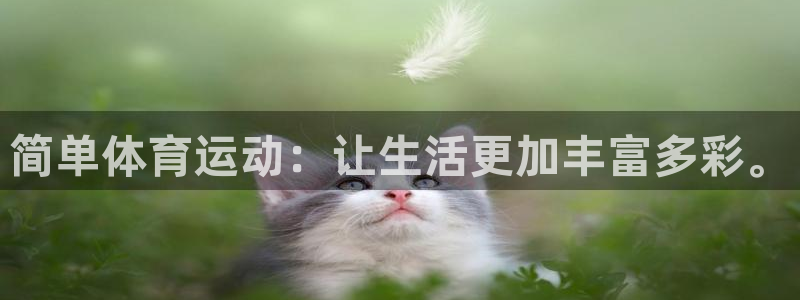 简单体育运动：让生活更加丰富多彩。
