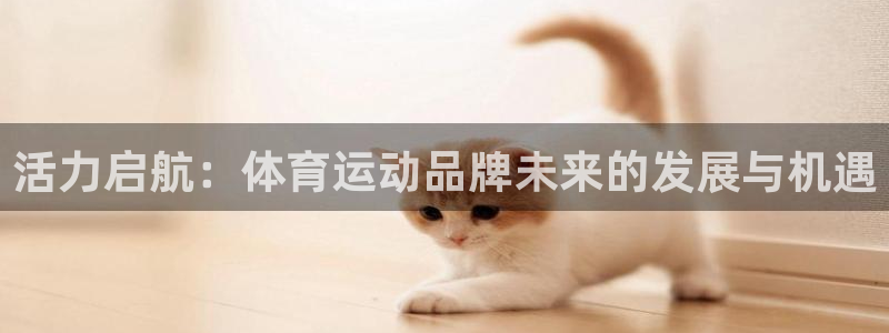 活力启航：体育运动品牌未来的发展与机遇
