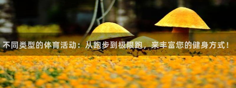 不同类型的体育活动：从跑步到极限跑，来丰富您的健身方式！