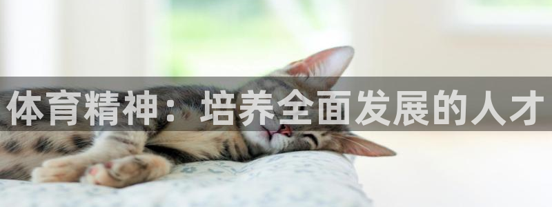 体育精神：培养全面发展的人才