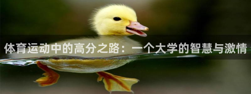 体育运动中的高分之路：一个大学的智慧与激情