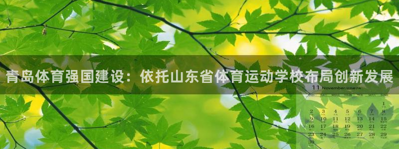 青岛体育强国建设：依托山东省体育运动学校布局创新发展