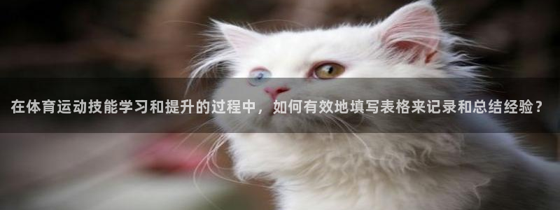 在体育运动技能学习和提升的过程中，如何有效地填写表格来记录和总结经验？