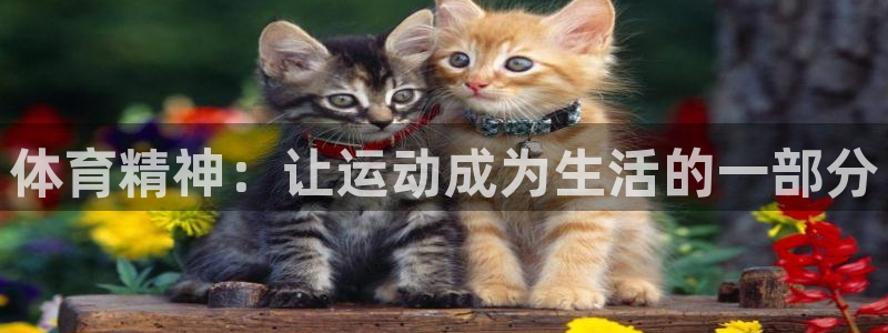 体育精神：让运动成为生活的一部分